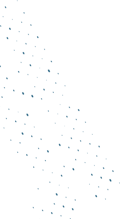 banner-shape